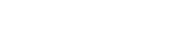Capital Synergies
