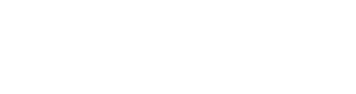 Capital Synergies